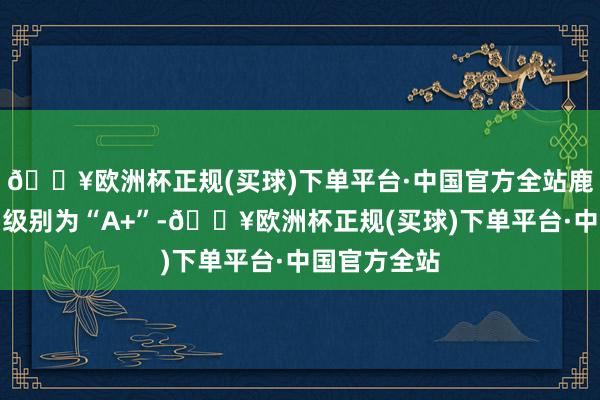 🔥欧洲杯正规(买球)下单平台·中国官方全站鹿山转债信用级别为“A+”-🔥欧洲杯正规(买球)下单平台·中国官方全站