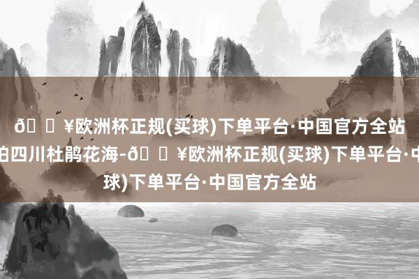 🔥欧洲杯正规(买球)下单平台·中国官方全站壮不雅！航拍四川杜鹃花海-🔥欧洲杯正规(买球)下单平台·中国官方全站