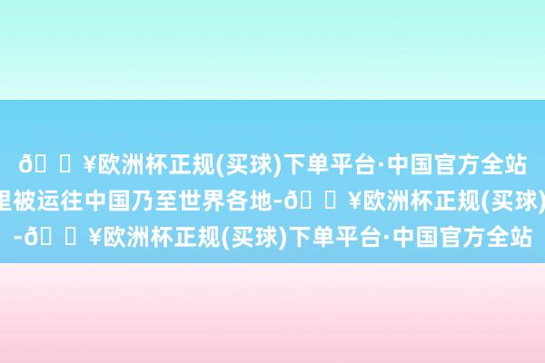 🔥欧洲杯正规(买球)下单平台·中国官方全站有上千吨鲜切花从这里被运往中国乃至世界各地-🔥欧洲杯正规(买球)下单平台·中国官方全站