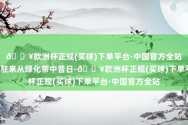 🔥欧洲杯正规(买球)下单平台·中国官方全站于是外卖员把车停驻来从绿化带中昔日-🔥欧洲杯正规(买球)下单平台·中国官方全站