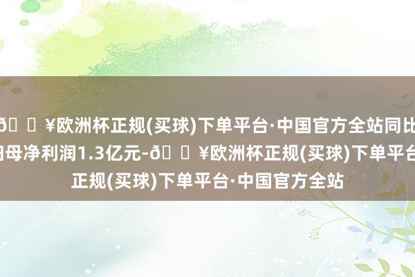 🔥欧洲杯正规(买球)下单平台·中国官方全站同比下降0.96%；归母净利润1.3亿元-🔥欧洲杯正规(买球)下单平台·中国官方全站