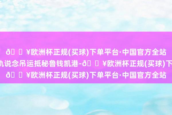 🔥欧洲杯正规(买球)下单平台·中国官方全站岸边集装箱起重机和轨说念吊运抵秘鲁钱凯港-🔥欧洲杯正规(买球)下单平台·中国官方全站